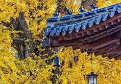 三论宗的要义