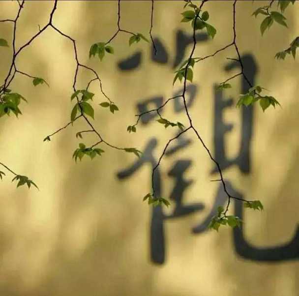 传喜法师：贤劫千佛宝海梵志的愿力