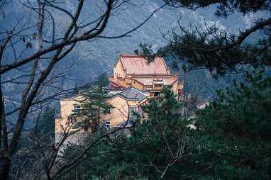 传喜法师：贤劫千佛宝海梵志的愿力
