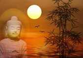 参禅宗公案，悟生活智慧