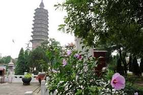 洪州禅地位如何