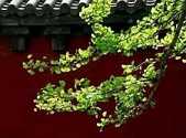 何为法身、报身、化身
