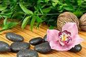 洪州禅之思想解析