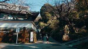 临济宗历代传人有哪些