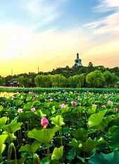 四摄法：摄受是什么意思