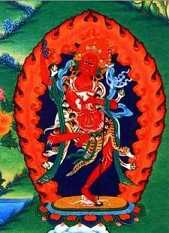 智慧怒母介绍