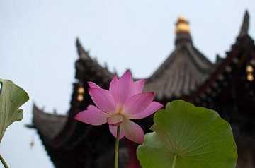 烦恼浊详细解释