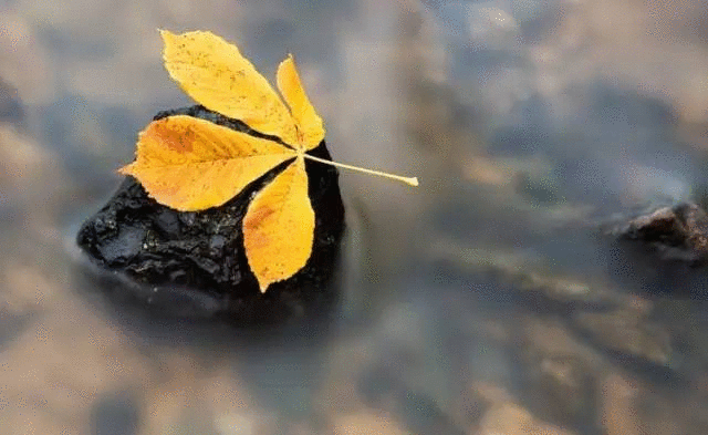 想蕴相的解释和意思