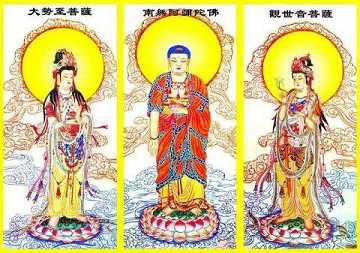 俱舍宗的发展历程