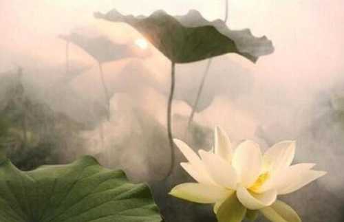 云岩昙晟禅师圆寂的纪念日是哪天