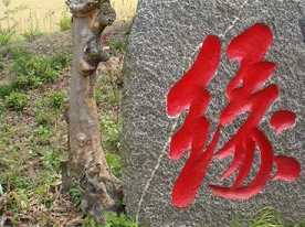 云岩昙晟生平介绍