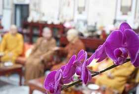 根松仁波且讲解：般若波罗蜜概说