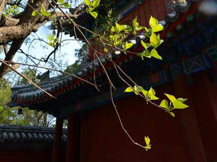 一心三观是怎么观的